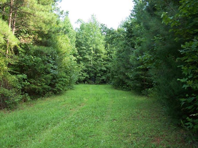 0 Mt Pleasant Road Boydton, VA 23924 - Photo 4 of 11 chase city 15