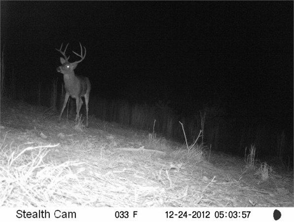 0 Mt Pleasant Road Boydton, VA 23924 - Photo 10 of 11 chase city 20