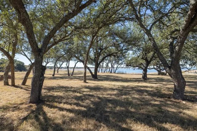 a view of yard with trees