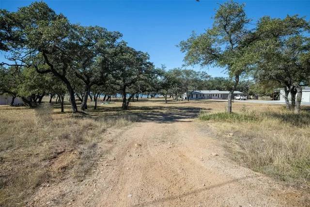 a view of a yard with a tree