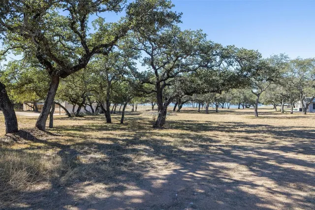 a view of dirt field with trees around