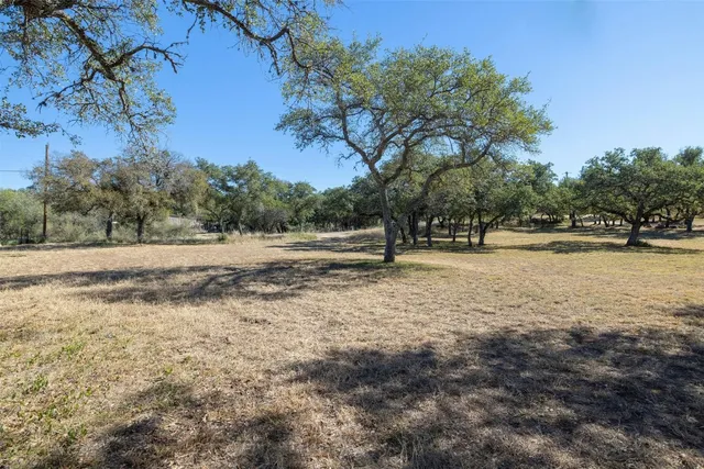 a view of dirt yard with a large tree
