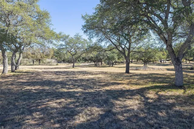 a view of a yard with trees