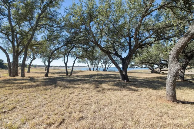 a view of ocean view with large trees