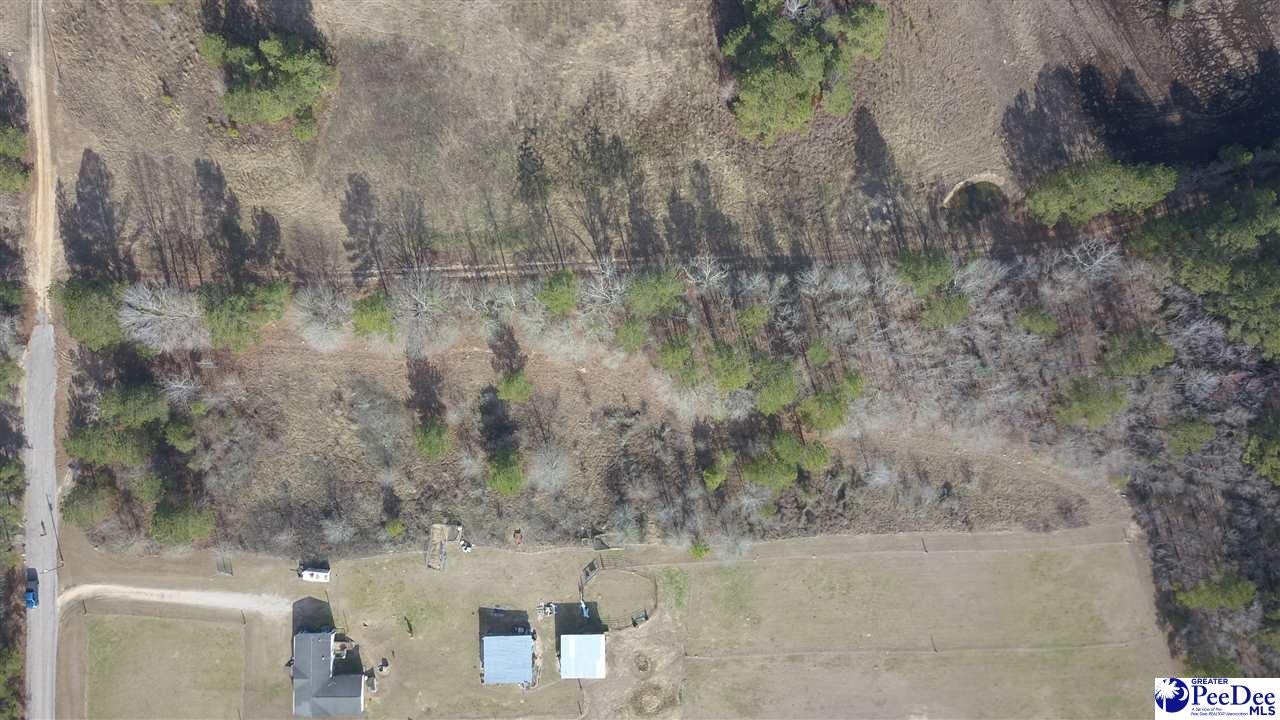 Tbd Albany Road Coward, SC 29530 - Photo 1 of 1 Gallery Image 1
