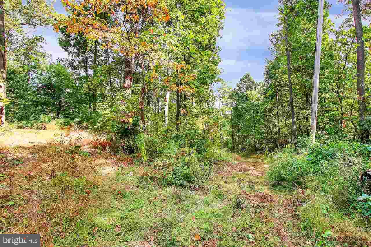1924 Rockville Road Spring Grove, PA 17362 - Photo 24 of 25
