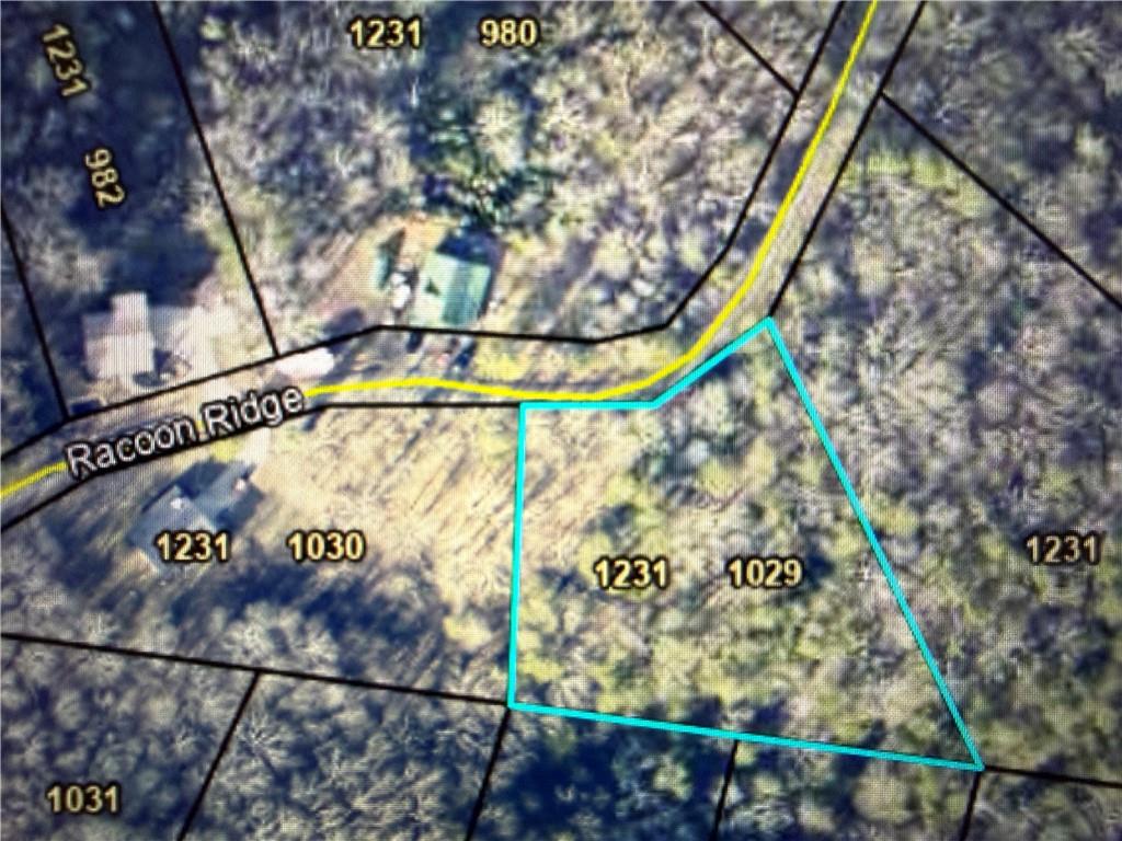 1029 Raccoon Ridge Northeast Ranger, GA 30734 - Photo 2 of 5 a sign on the side of a building