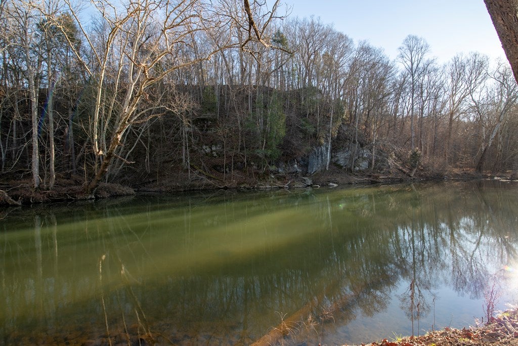 819 Fox Valley Road Marion, VA 24354 - Photo 56 of 60 Gallery Image 56