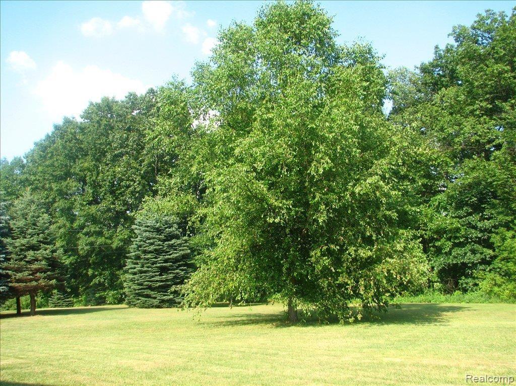 9700 Oakhill Road Holly, MI 48442 - Photo 4 of 20 Front Yard