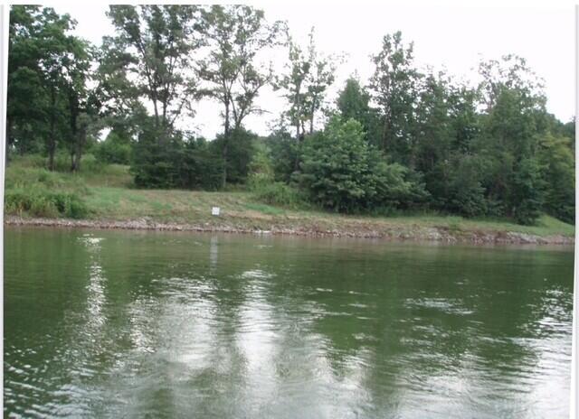 a view of a lake view with a large trees