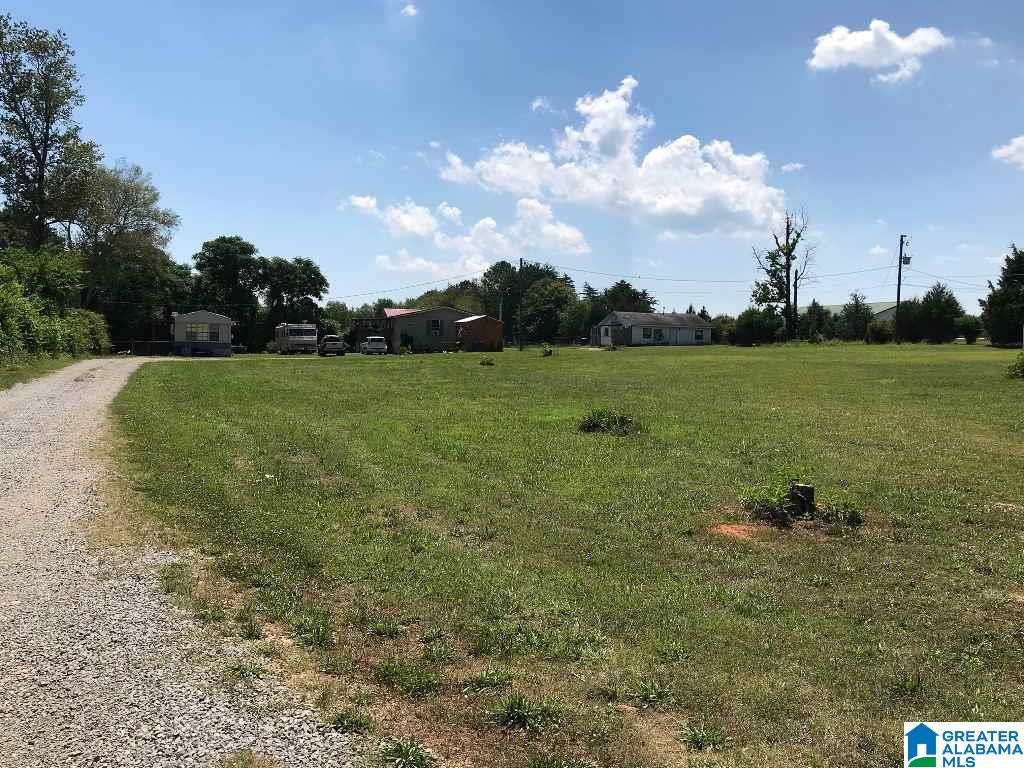984 Beck Road Eastaboga, AL 36260 - Photo 1 of 33