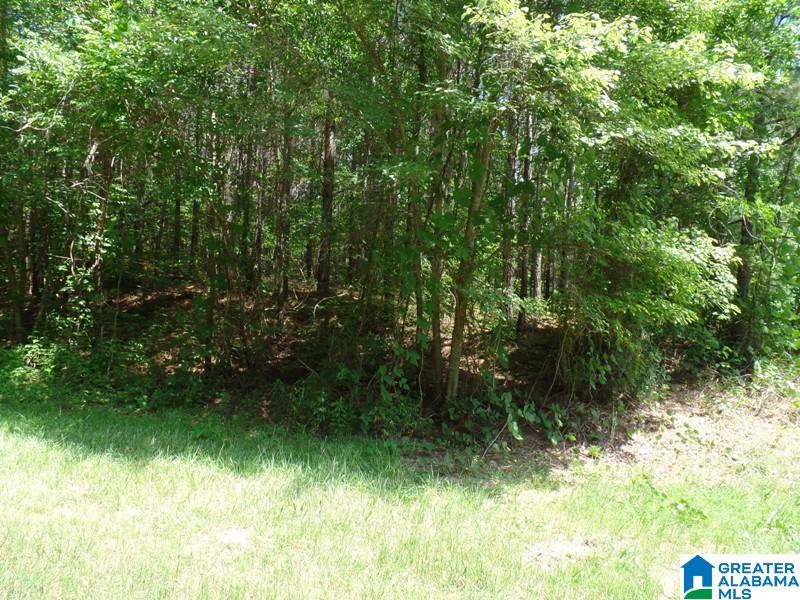 457 County Road, Unit 5 Heflin, AL 36264 - Photo 16 of 20