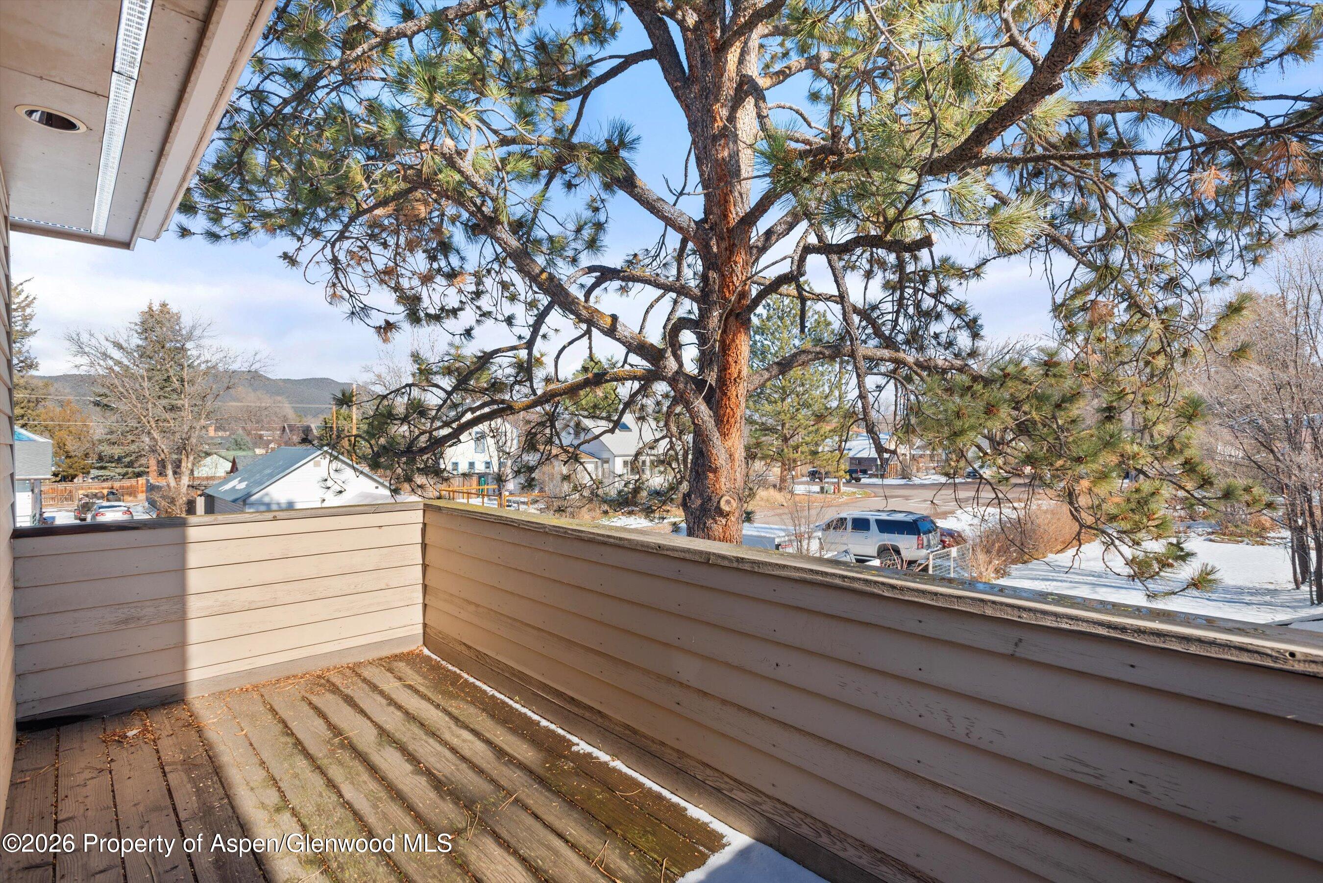 358 Euclid Avenue Carbondale, CO 81623 - Photo 22 of 36 20-358EuclidAve_251204004
