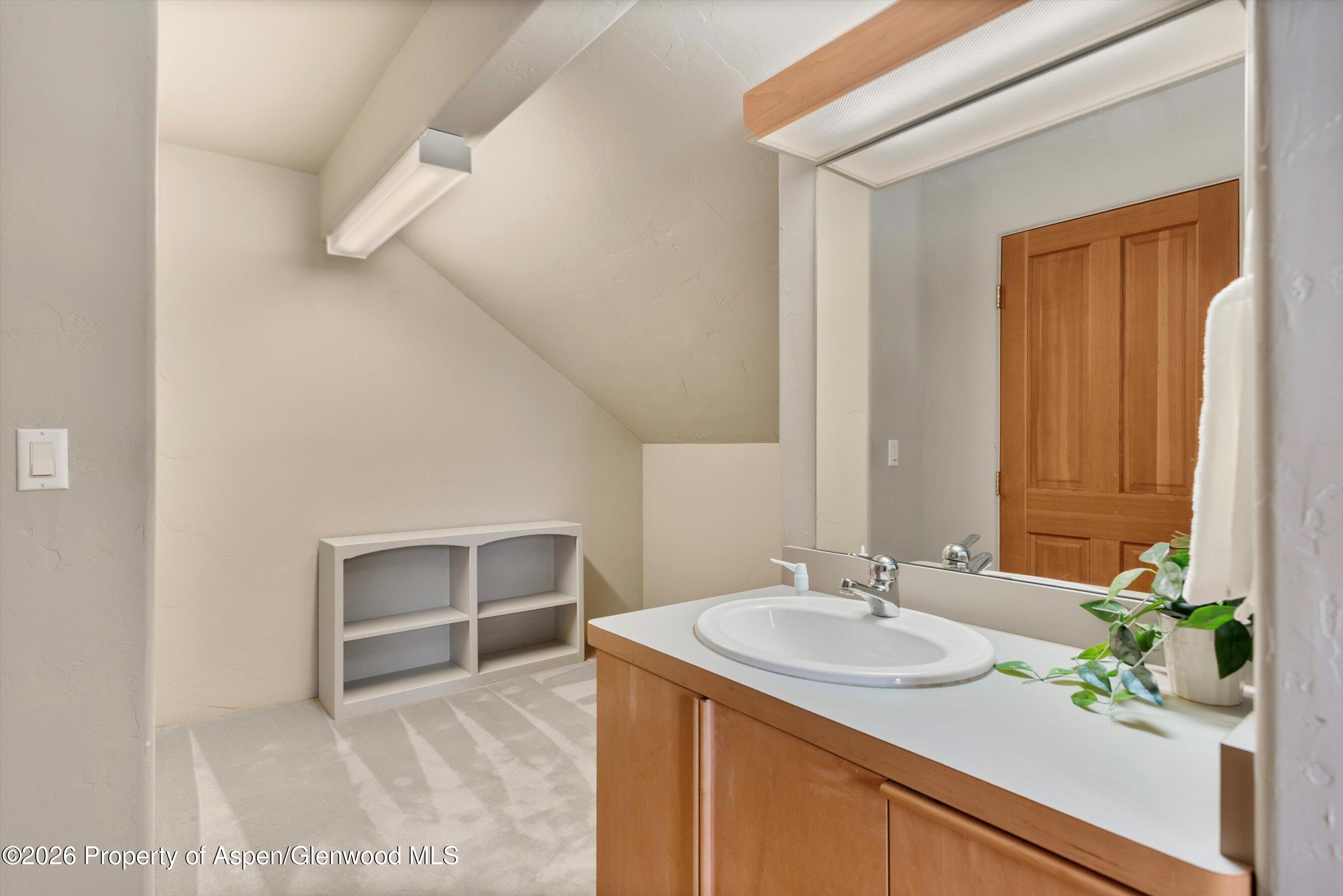 358 Euclid Avenue Carbondale, CO 81623 - Photo 24 of 36 23-358EuclidAve_251204023