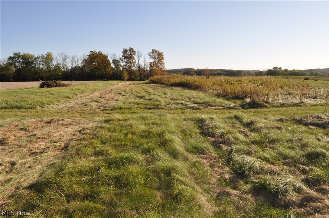 Bowman Road Homeworth, OH 44634 - Photo 2 of 2