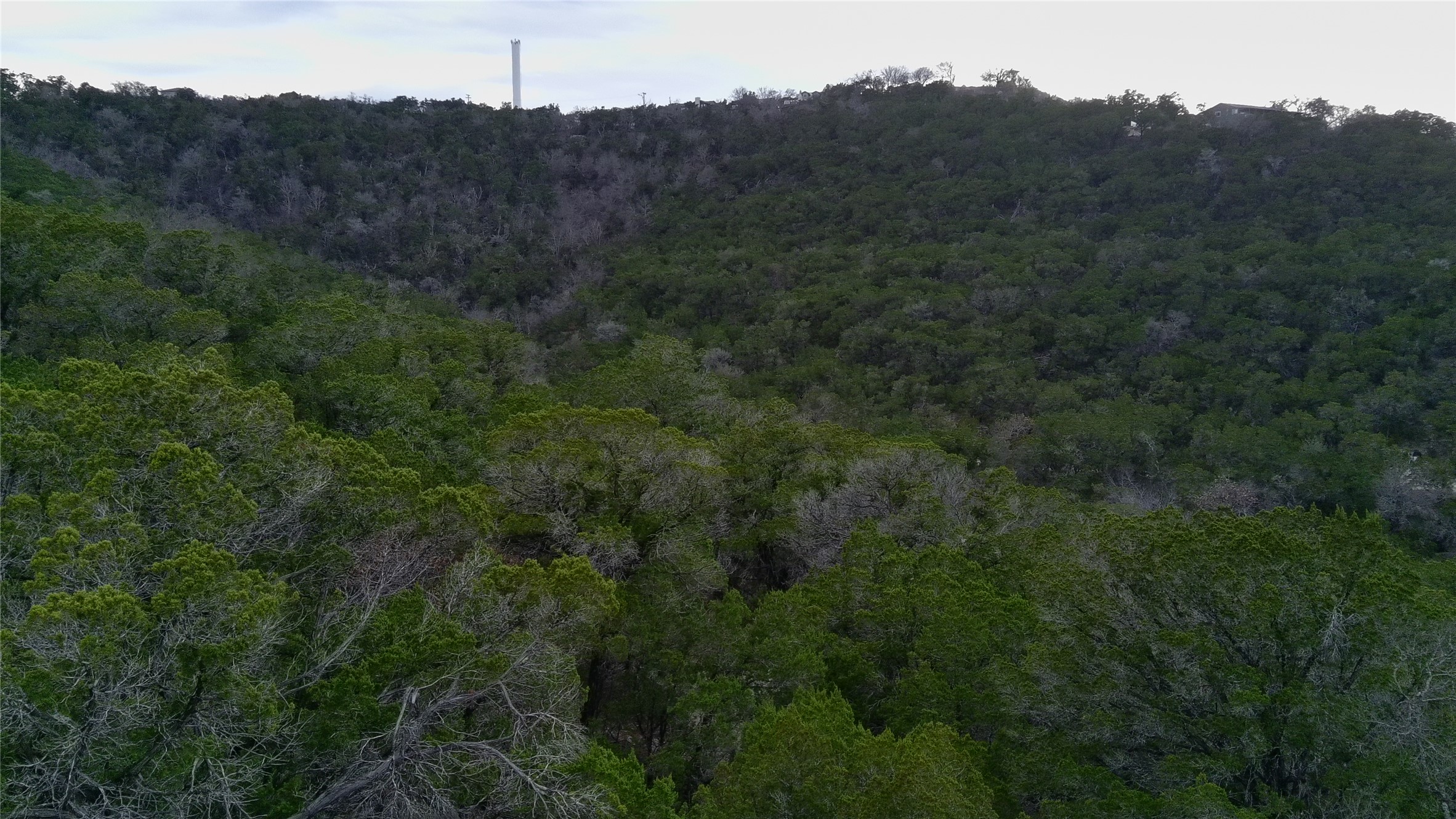 Tbd West Reed Park Road Jonestown, TX 78645 - Photo 6 of 14 a view of a house with a mountain and a forest