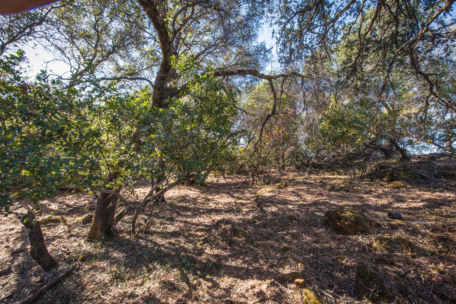 4351 Rossler Road Placerville, CA 95667 - Photo 21 of 29 Gallery Image 21