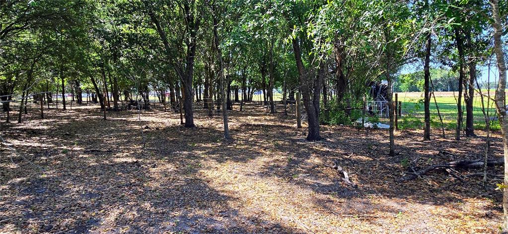 0 Connell Road Plant City, FL 33567 - Photo 18 of 29 Gallery Image 18