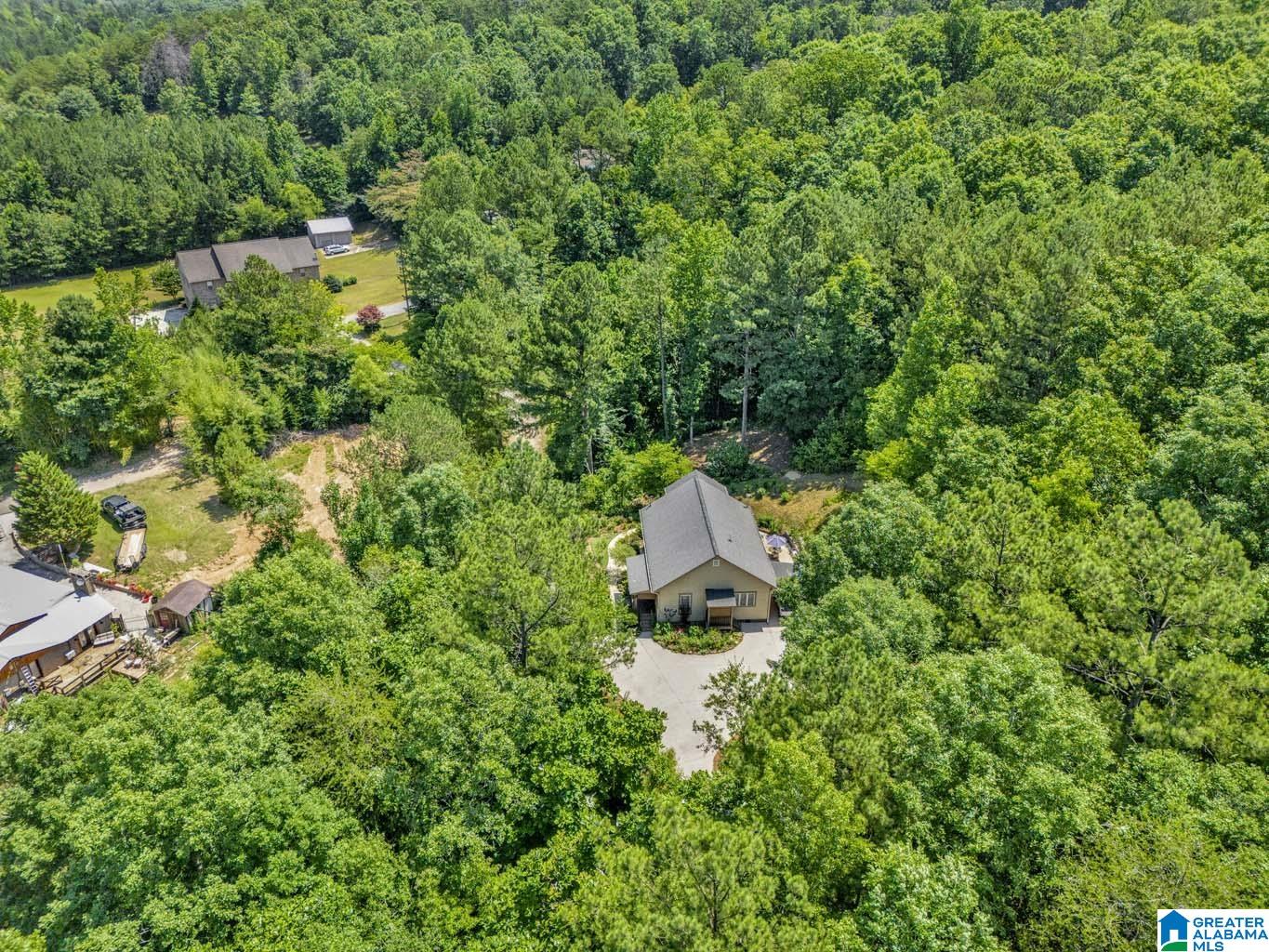 84 Dorr Road Oneonta, AL 35121 - Photo 9 of 44
