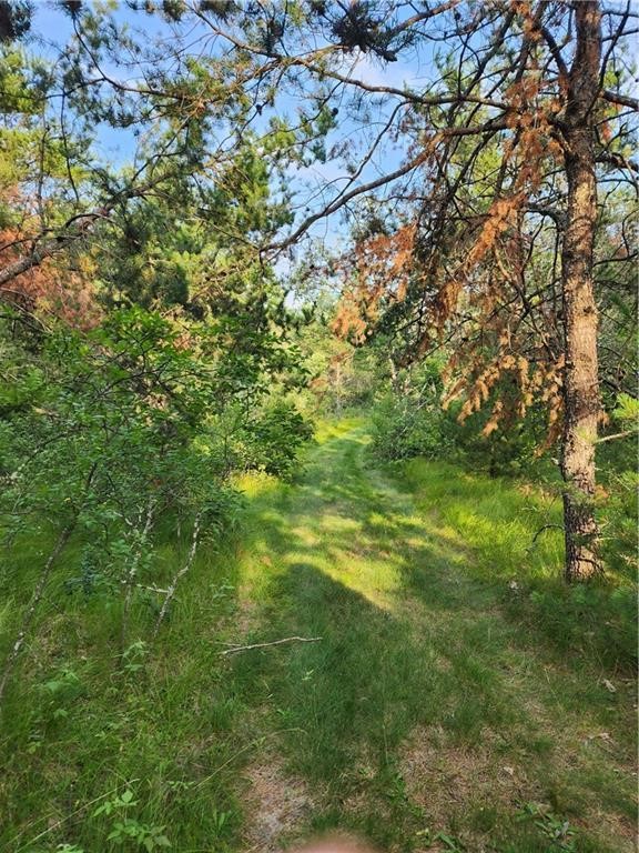 5500 County Highway Sparta, WI 54656 - Photo 32 of 39