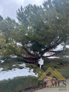 Undisclosed Address Tehachapi, CA 93561 - Photo 3 of 28 a backyard of a house with lots of green space