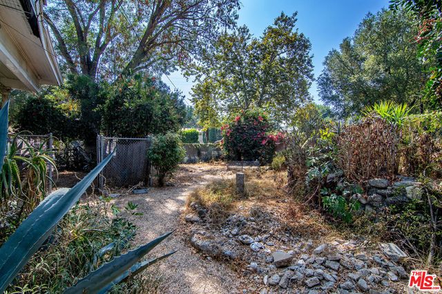 a view of backyard with plants and large trees