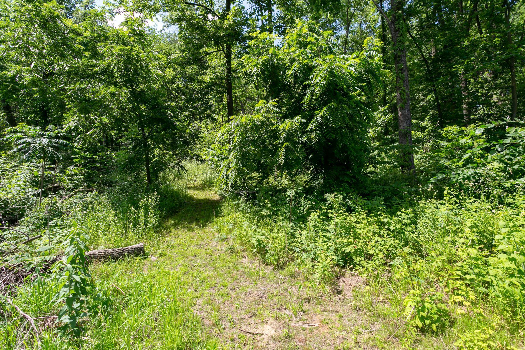 488 Old Cemetery Road Roberts, WI 54023 - Photo 31 of 33 Gallery Image 31