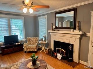 434 North Geyer Road Kirkwood, MO 63122 - Photo 4 of 29