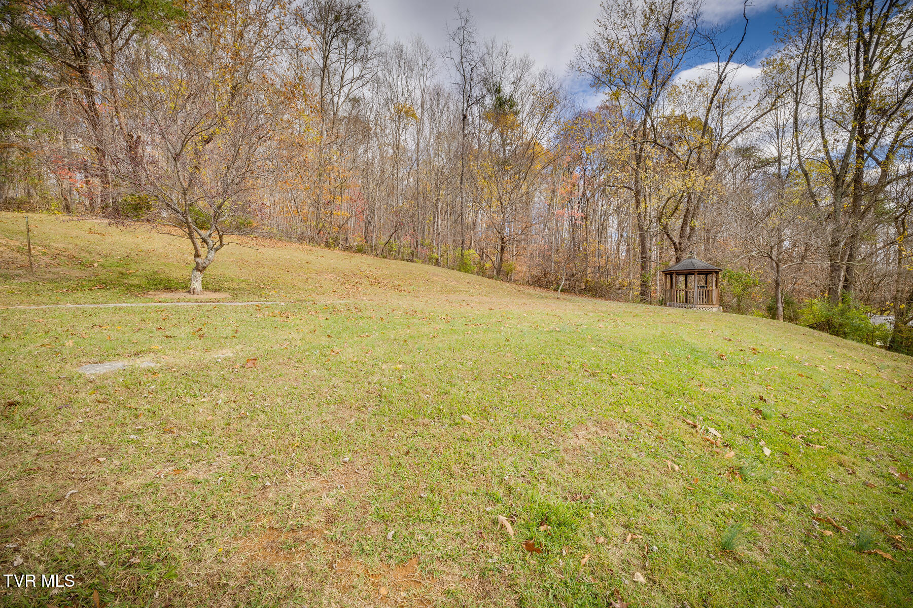 1731 Dave Buck Road Johnson City, TN 37601 - Photo 24 of 31 024