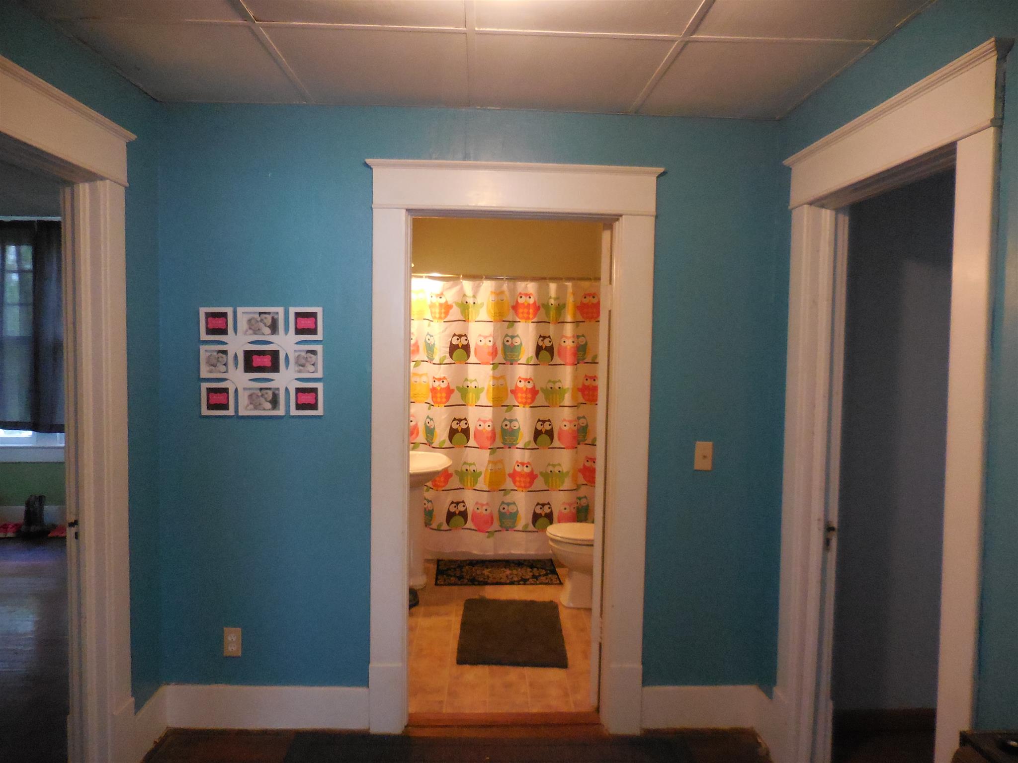 301 Main Street Prospect, TN 38477 - Photo 16 of 20 Hall Bath
