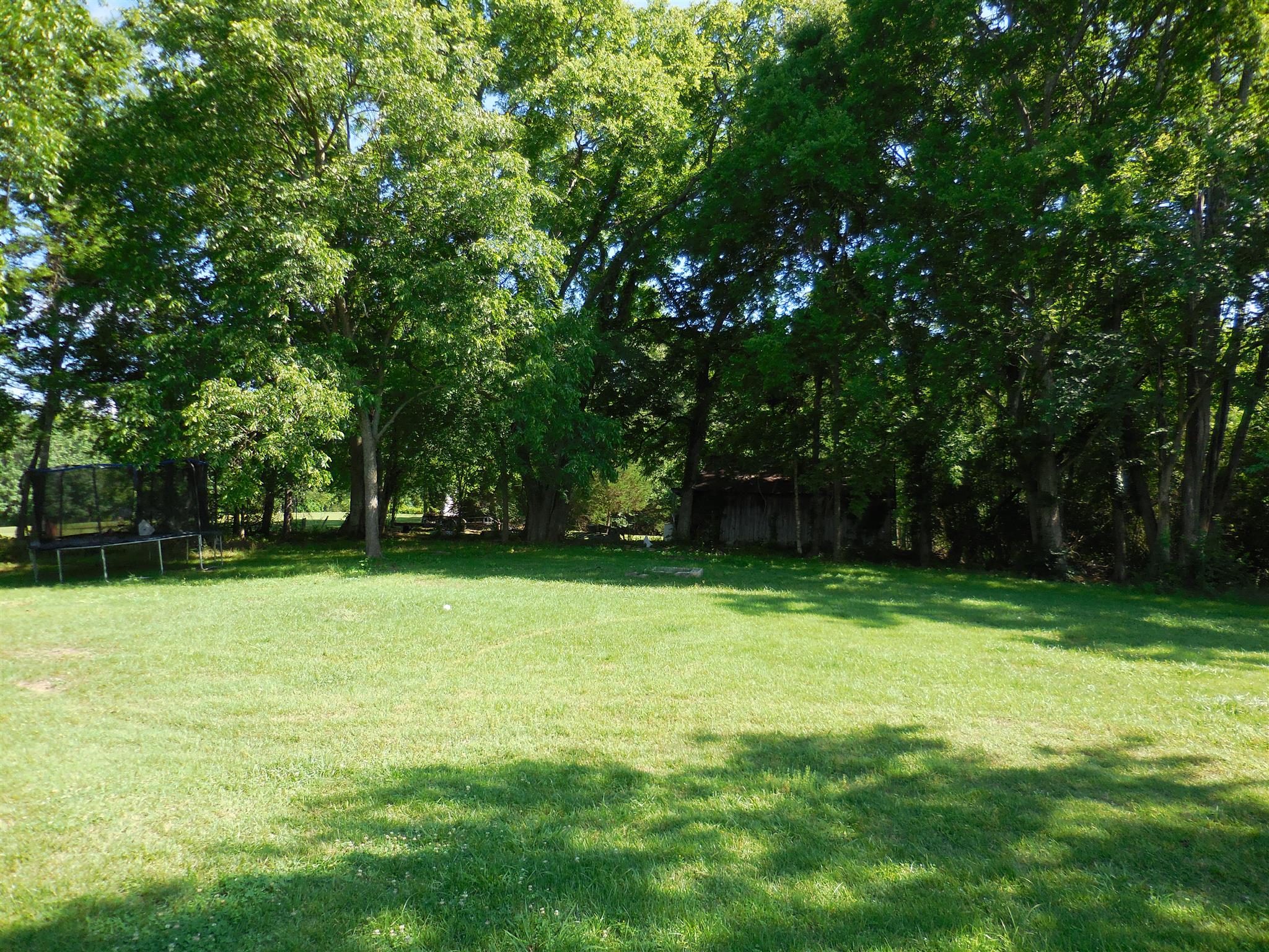 301 Main Street Prospect, TN 38477 - Photo 7 of 20 Back Yard