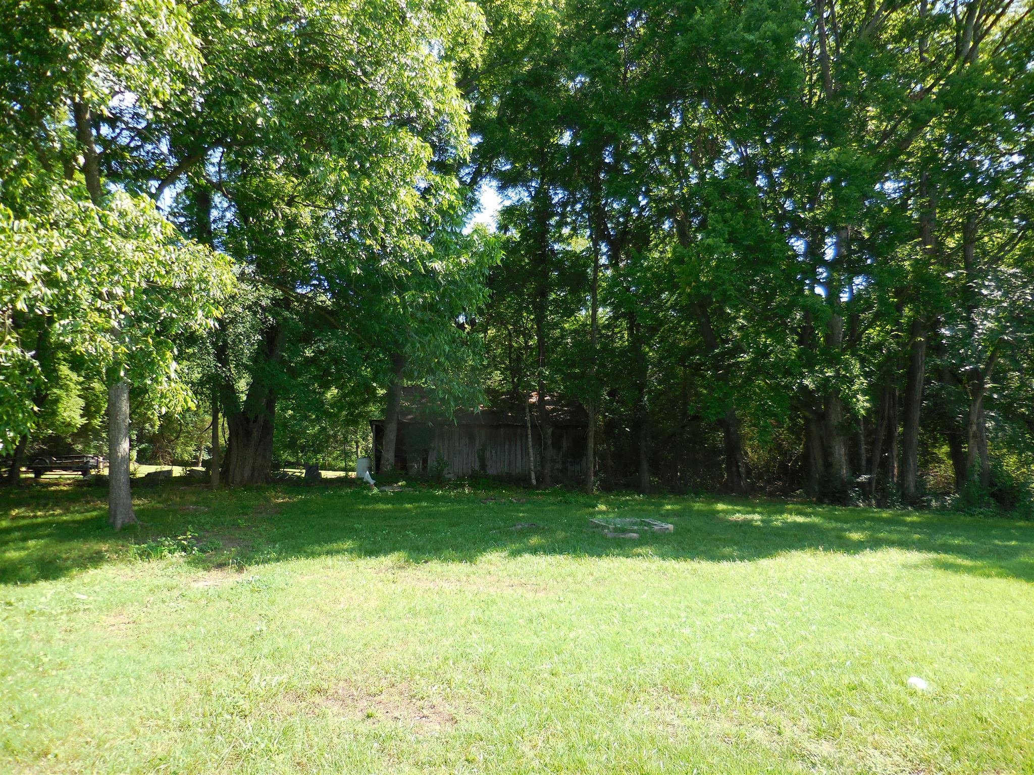 301 Main Street Prospect, TN 38477 - Photo 9 of 20 Back yard