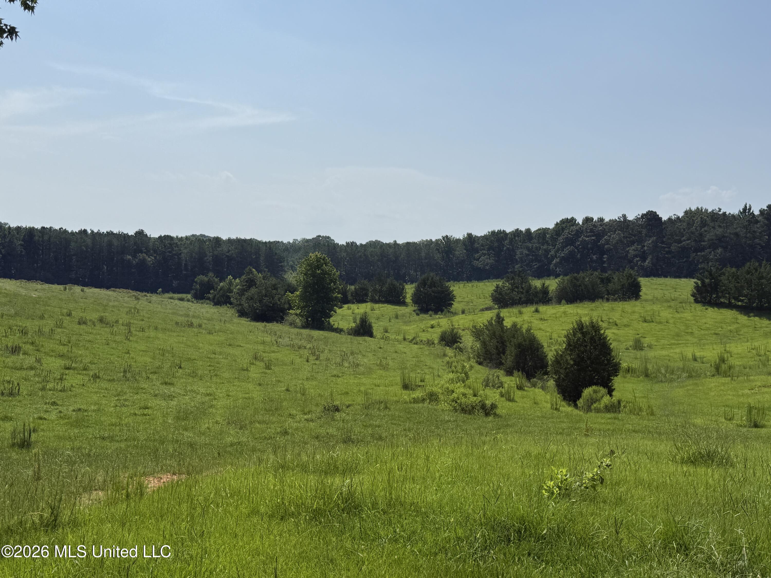 Monte Vista Road Eupora, MS 39744 - Photo 3 of 54 3 (1)