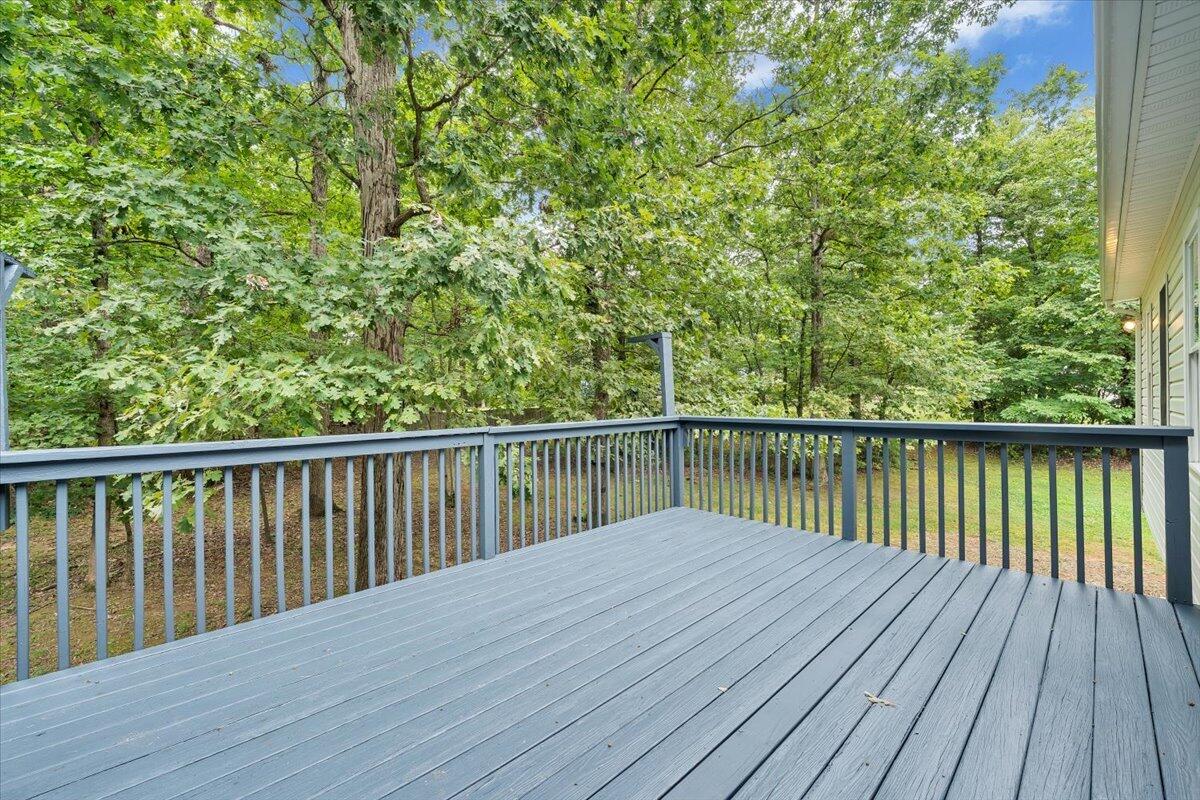 3314 Blue Ridge Boulevard Blue Ridge, VA 24064 - Photo 42 of 53 36-MIB04738