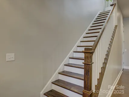 a room with furniture and a potted plant