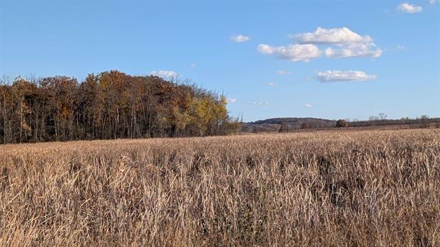 N3126 Oak Road Markesan, WI 53946 - Photo 35 of 35