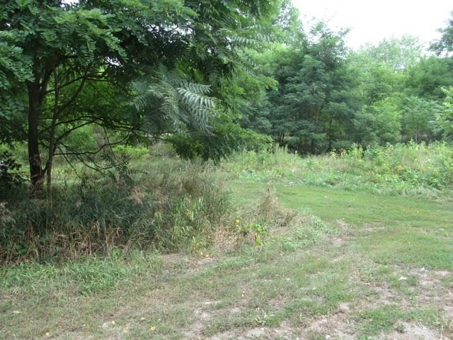 V/l Oakpoint Road Jackson, MI 49201 - Photo 5 of 11