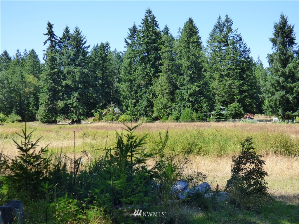 371 Diamond Point Road Sequim, WA 98382 - Photo 1 of 20 Gallery Image 1