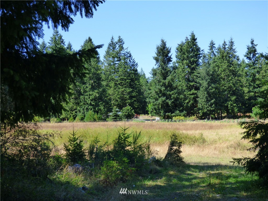 371 Diamond Point Road Sequim, WA 98382 - Photo 2 of 20 Gallery Image 2