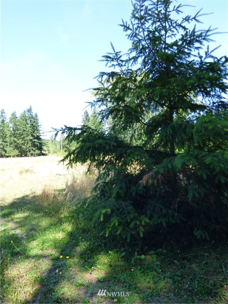 371 Diamond Point Road Sequim, WA 98382 - Photo 11 of 20 Gallery Image 11