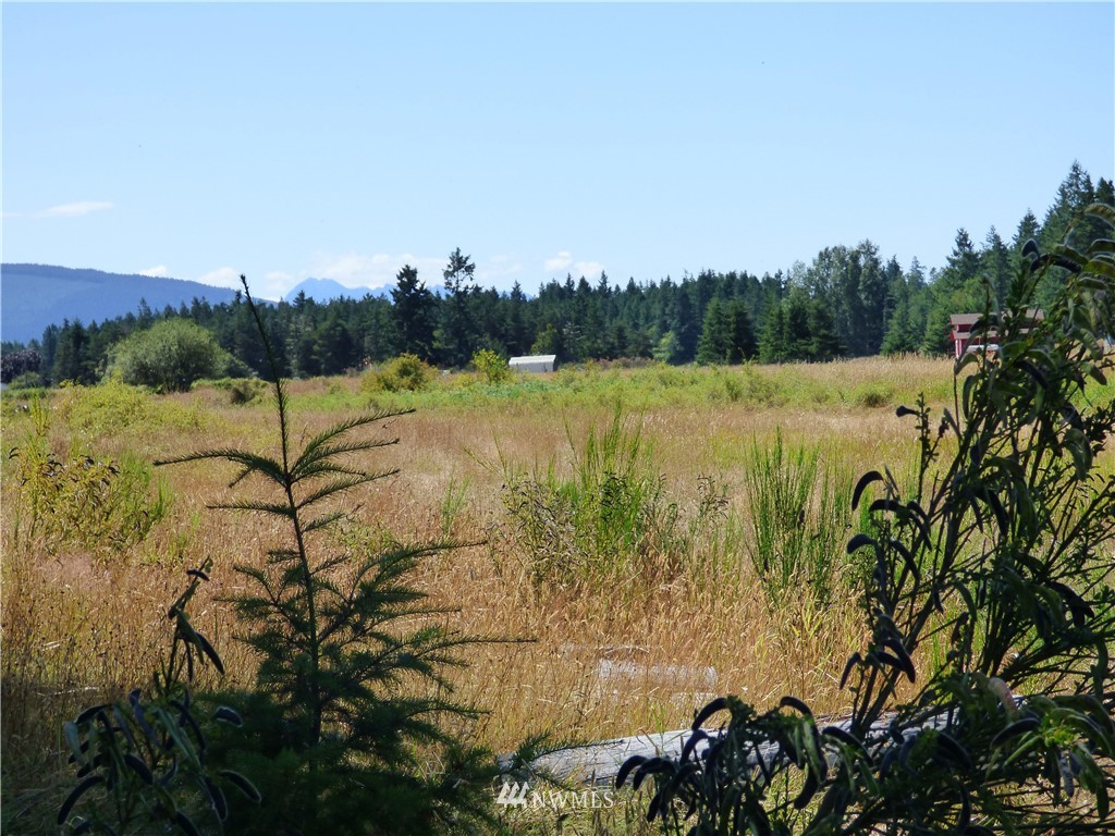 371 Diamond Point Road Sequim, WA 98382 - Photo 12 of 20 Gallery Image 12