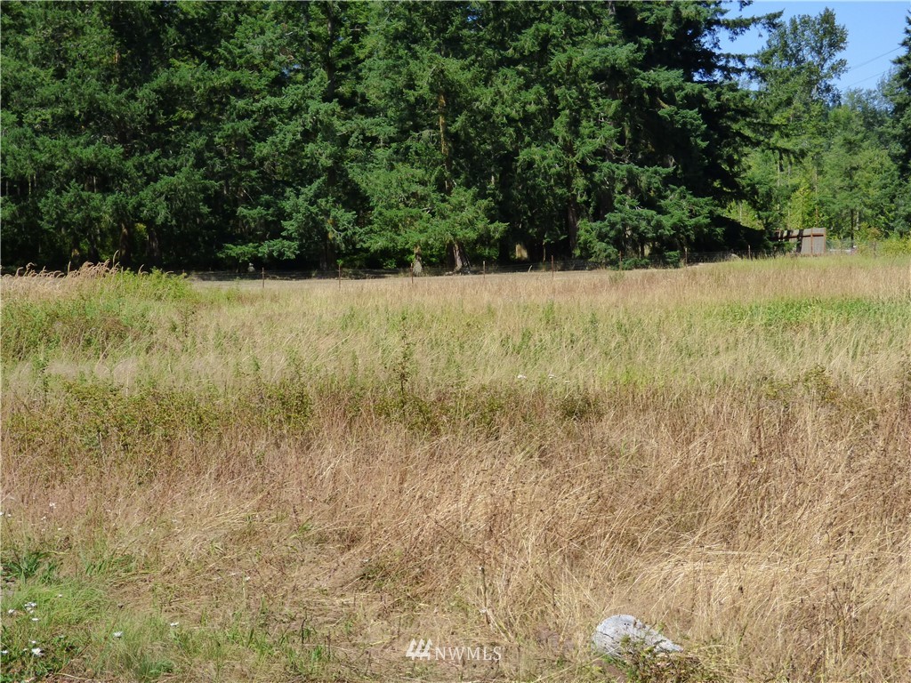 371 Diamond Point Road Sequim, WA 98382 - Photo 13 of 20 Gallery Image 13