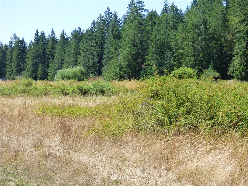 371 Diamond Point Road Sequim, WA 98382 - Photo 14 of 20 Gallery Image 14
