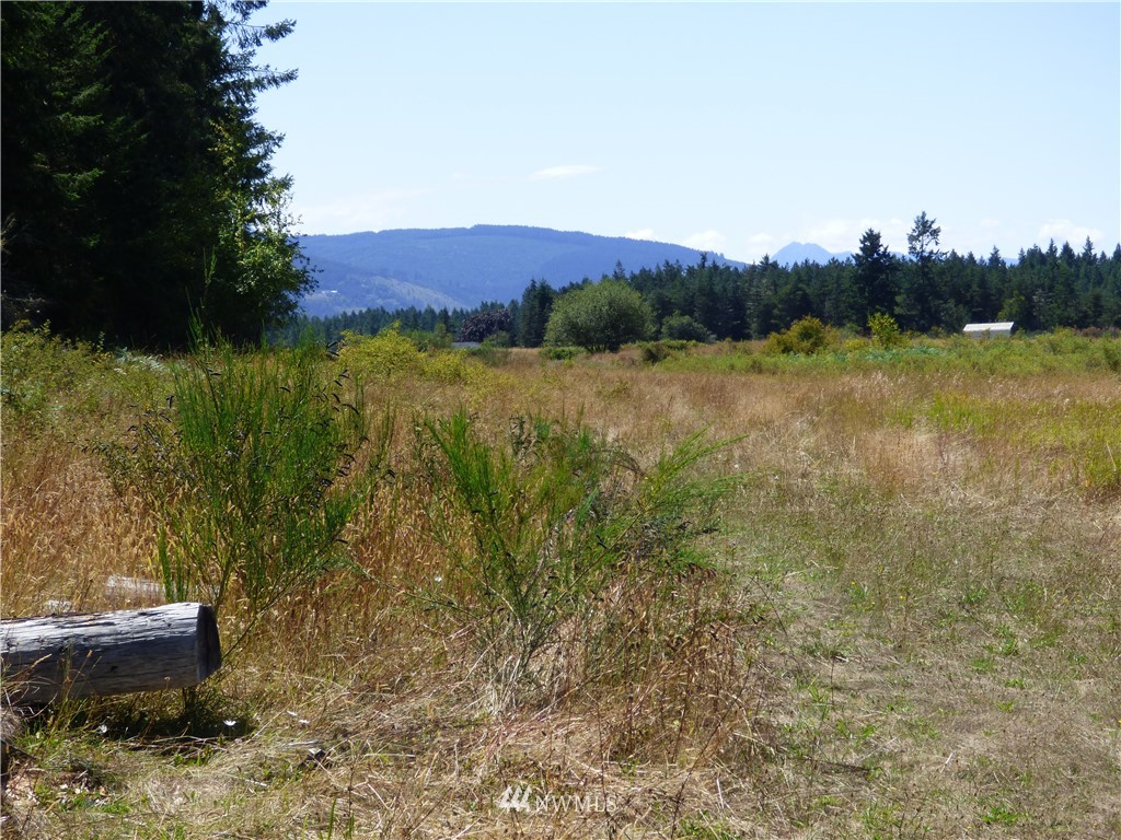 371 Diamond Point Road Sequim, WA 98382 - Photo 15 of 20 Gallery Image 15