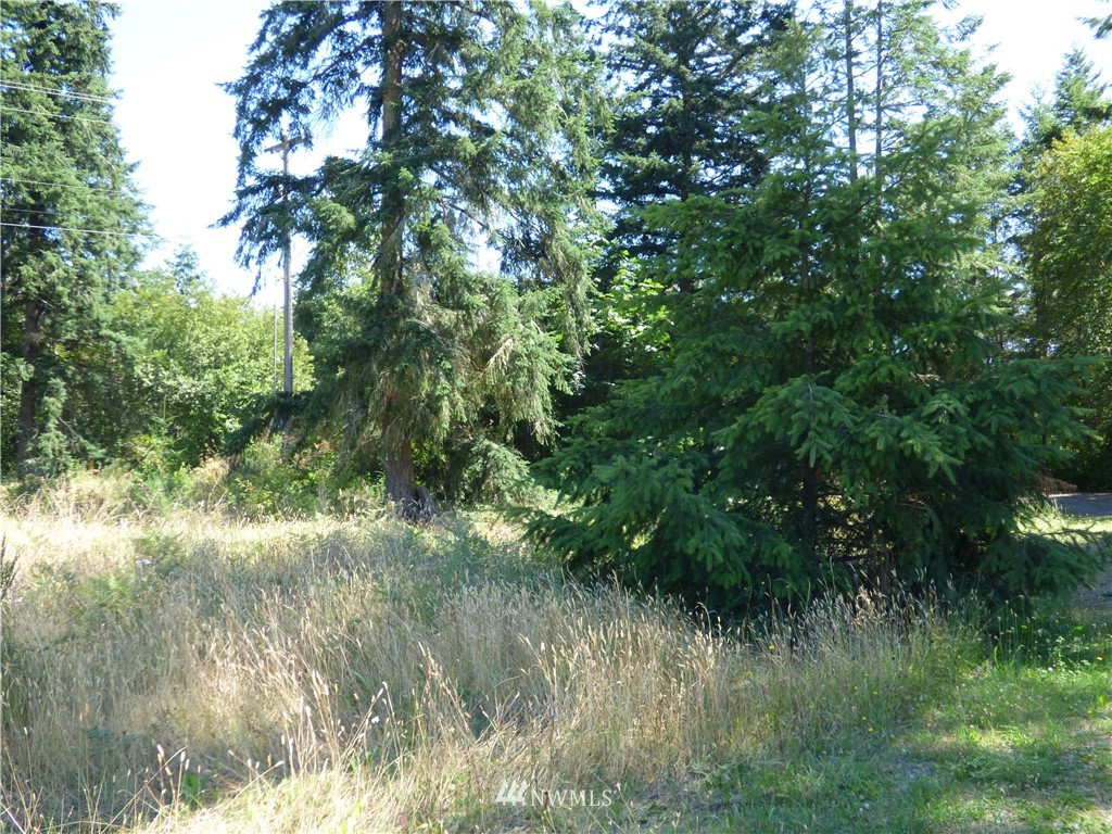 371 Diamond Point Road Sequim, WA 98382 - Photo 4 of 20 Gallery Image 4