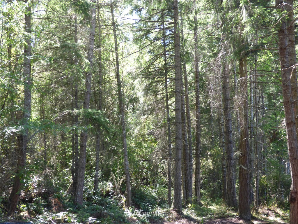 371 Diamond Point Road Sequim, WA 98382 - Photo 9 of 20 Gallery Image 9