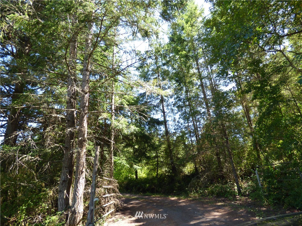 371 Diamond Point Road Sequim, WA 98382 - Photo 10 of 20 Gallery Image 10