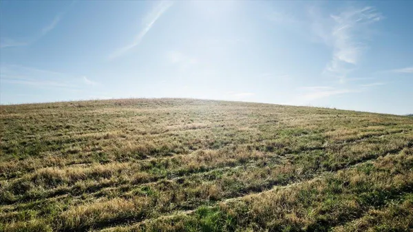 an aerial view of forest
