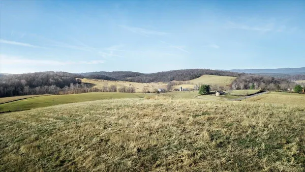 a view of a field with an ocean