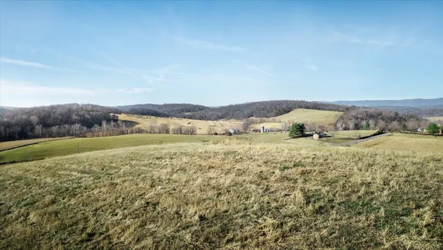 a view of a field with an ocean